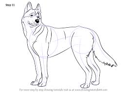 How to draw a dog. Learn How To Draw A Husky Dogs Step By Step Drawing Tutorials