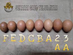 Abang teloq grade a telur harga. Abang Teloq Senarai Gred Telur Ayam Yang Ada Di Kedai Facebook
