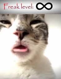 Il tipo di cosa che la Dama Bianca manda al Re quando è ora di accoppiarsi  : r/HollowKnightMemes