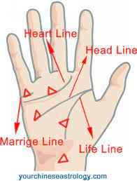 Triangle Sign On Palm Of Hand Meaning Palmistry Markings Palm Reading Love Line Palmistry Reading Palmistry