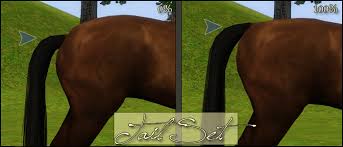 Horse fans mod the sims 3, rdr2 into the horse games they crave. Download Sims 3 Height Slider Horse Blinknew