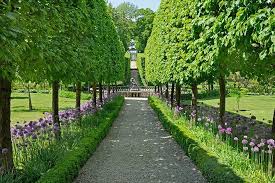 13 Stunning Garden Allees Landscape Design Outdoor Landscaping Landscape
