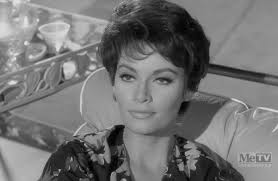 The Case of the Bountiful Beauty (1964)