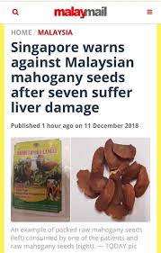 Terjawab • terverifikasi oleh ahli. Che Puteh Osman Phd On Twitter Tetapi Jangan Sesekali Cuba Daun Kapal Terbang Pokok Kamunting Cina Buah Tunjuk Langit Atau Galega Officinalis Silap Haribulan Keracunan Pula Cari Penyakit Benda Bukan Makanan Jangan