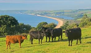 South Devon Area Of Outstanding Natural Beauty Visit South Devon