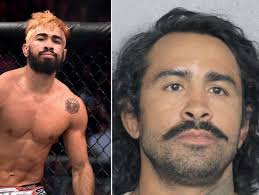 MA 4228 by The Brazilian Times Newspaper