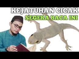 We did not find results for: Kejatuhan Cicak Ada Apa Dzikir Kajian Kajian Islami Youtube