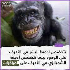 pin on معلومة سريعة