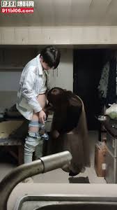 Sister Hong - Onlyfan Chinese - EPORNER
