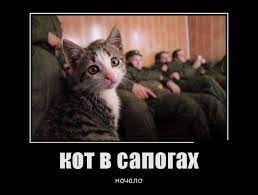 Кот в сапогах. Начало - Супер Демотиваторы - Подборка лучших демотиваторов  сети