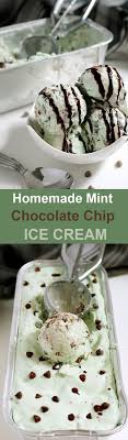 Easy Summer Dessert Recipe Homemade Mint Chocolate Chip Ice Cream One Of Those Moments When We Are Al Dessert Schokolade Schokoladendesserts Schokoladeneis