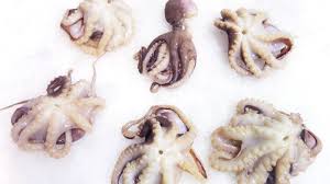 Maybe you would like to learn more about one of these? Baby Octopus Sold By The Pound Citarella