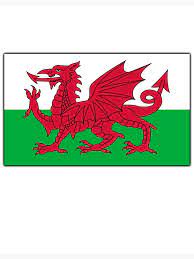 Of the 13 historic counties, 7 have flags registered with the flag institute, with brecknockshire, cardiganshire (ceredigion), carmarthenshire, denbighshire, montgomeryshire and radnorshire outstanding. Ih1 Redbubble Net Image 395244405 3543 Flat 750