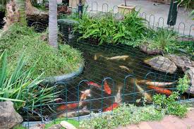 Pond Safety Net Sydney Melbourne Canberra Brisbane Perth Just Covers Fish Pond Gardens Ponds Backyard Water Garden