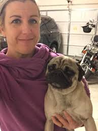 Baby Smokey the CHUG is becoming more pudgy/puggy everyday!