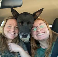 Is there more to do with the coffee shop after the gyroid?