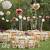 Low Cost Simple Wedding Reception Design