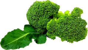 download green broccoli png image hq png image freepngimg green broccoli png image hq png image