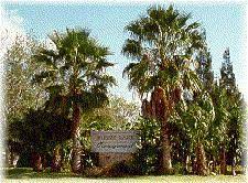 Highway 77/83 through last light before bridge. Cactus Cat Rv Brownsville Texas Us Parkadvisor