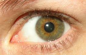 There are three main undertones present in the skin: The Science Of Hazel Eyes