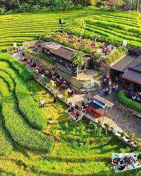 Kopi Ampirono Tempat Nongkrong Hits Di Tengah Hijaunya Persawahan Di Kulonprogo Jogja Di 2020 Pemandangan Tempat Arsitektur Masjid