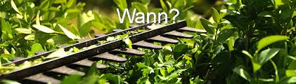 Wann gartenarbeiten erlaubt sind, regelt das bundesnaturschutzgesetz (kurz: Tipps Tricks Furs Hecke Schneiden Wann Wie
