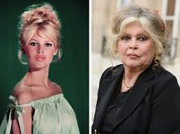 Check spelling or type a new query. Werfen Sie Einen Blick Auf Brigitte Bardot Heute Und Versuchen Sie Nicht Beeindruckt Zu Sein