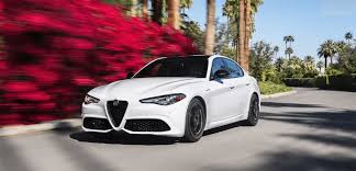 Image result for Alfa Rosso 2023 Alfa-Romeo