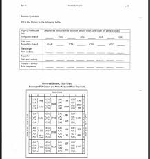 Solved Spr 13 Protein Synthesis L 13 Protein Synthesis Fi