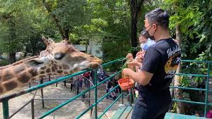 Tak cuma orang dewasa, anak kecil pun kerap diajak mengenal binatang di tapi terkadang, ada saja momen konyol yang tertangkap kamera saat kebun binatang ramai dikunjungi orang. Kebun Binatang Surabaya Sepi Pengunjung Saat Hari Pertama Lebaran 2021