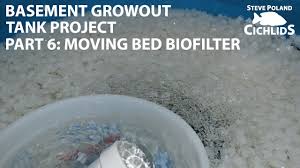 6 Of 8 Basement Growout Tank Project Moving Bed Biofilter Youtube