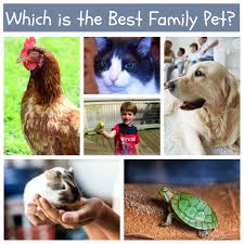 Best Pets For Families With Kids Family Pet Best Pets For Kids Pets