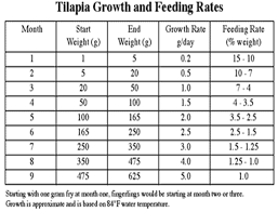Wille Pille Tilapia Growth Chart