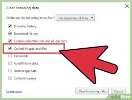 Every time i check, the cookies have been cleared, the internet explorer history has been deleted and the save history for_ days has been reset to 0. 3 Ways To Delete Your Computer History For Chrome Only Wikihow