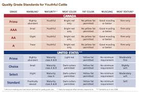 Quality Grade Standards For Beef Archives Umai Dry