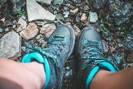 Getest De Banks Gtx Wandelschoenen Van Hanwag