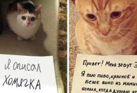 chto delat esli bankomat sel kartu i zavis eta hitrost pomozhet vernut ee uzhe cherez minutu novelty sign novelty decor