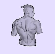 The following table might help to organize the layers and serve as a good reference for when you really. How To Draw The Human Back A Step By Step Construction Guide Gvaat S Workshop