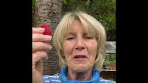 Fruit or wine stains? 🍇 🍷