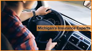 The insurance policy, which was purchased through the portal, can be transferred for the required period for the tourist. Look Insurance Agencies Find The Perferct Car Insurance Policy