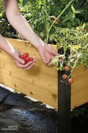 Strawberries like sunny positions, so it is vital to set up the raised bed in the full strong wind can damage the plants, flowers and fruit and decrease the crop. Elevated Raised Bed Gardening The Easiest Way To Grow