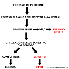 Si può decidere di consumare pollo, tacchino, latticini, uova, o pesce magro. Dieta Iperproteica