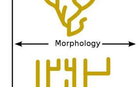 Theorie De L Evolution Theorie Evolution Biologie Cellulaire