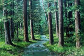 Hutan pinus pengger sangat cocok dikunjungi saat matahari terbenam. Hutan Pinus 2014 Acrylik On Canvas 100 150 Cm By Jaka Espe Pemandangan Lukisan Gambar