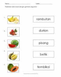 Download mewarnai gambar buah buahan mewarnai w. Tema Buah Tempatan Worksheet
