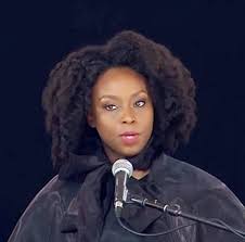 Her notable novels included purple hibiscus (2003), half of a yellow sun (2006), and americanah (2013). Chimamanda Adichieã«é–¢ã™ã‚‹è¨˜äº‹ä¸€è¦§ ãƒ­ã‚°ãƒŸãƒ¼