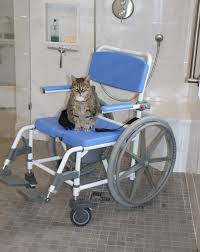 A Shower Wheelchair Or A Rolling Shower Chair Is Perfect For A Level Entry Shower This Shower Chair Has L Shower Chair Shower Wheelchair Salon Chairs For Sale