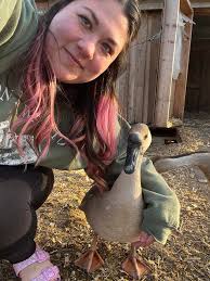 While it's not a goose, it belongs here. My newest tattoo, a ducky named  Lucky.