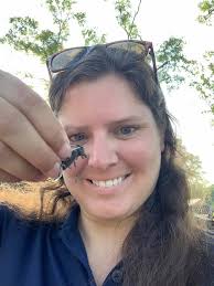 What are other entomology jobs beyond pest control and disease?