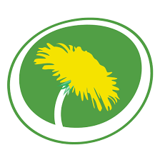 Genom att surfa vidare accepterar du dessa cookies. Miljopartiet Sollentuna Home Facebook